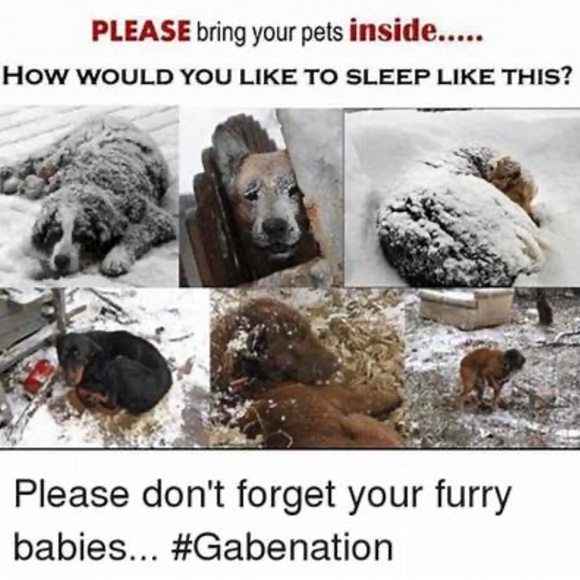 BE A GOOD HUMAN & BE KIND TO ALL LIFE! - Picture 2 of 13